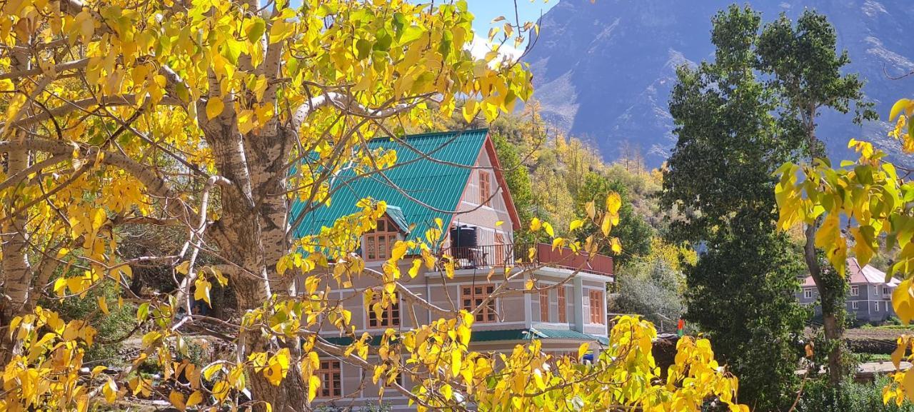 Beyond Rohtang Tandi