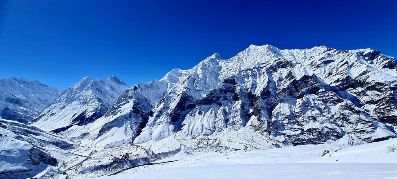 Beyond Rohtang Homestay